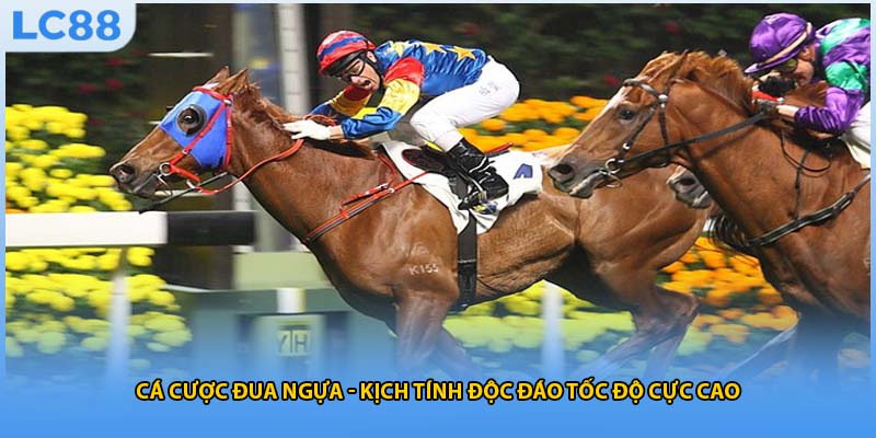 Cá Cược Đua Ngựa - Kịch Tính Độc Đáo Tốc Độ Cực Cao